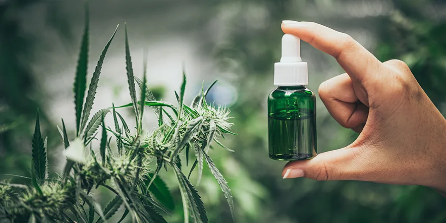 Olejek CBD
