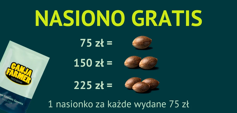 1 nasiono za każde wydane 75zł