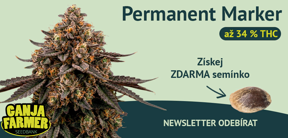 Přihlaste se k odběru newsletteru.