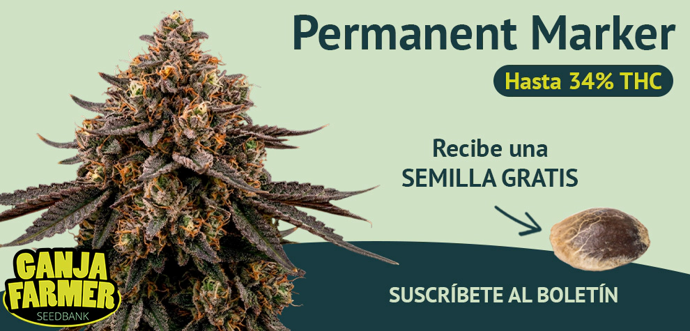 Suscríbete al boletín