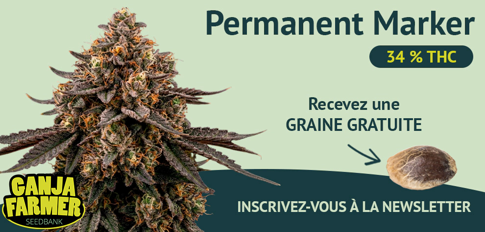 Inscrivez-vous à la newsletter