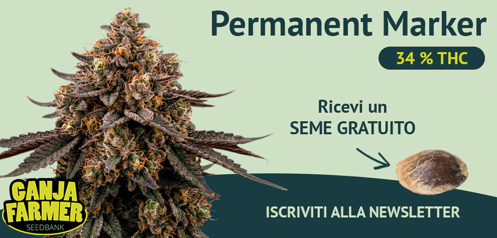 Iscriviti alla newsletter