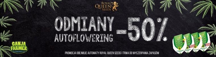 Promocja Royal Queen Seeds