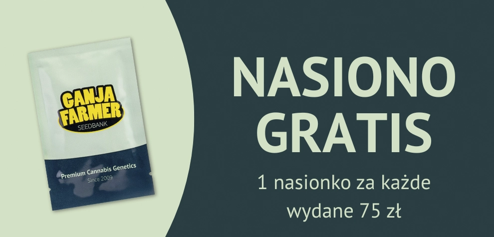1 nasiono za każde wydane 75zł