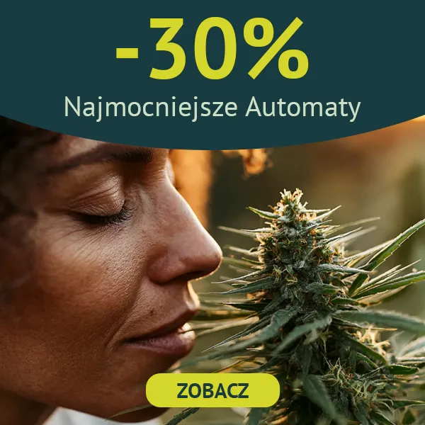 Najmocniejsze automaty