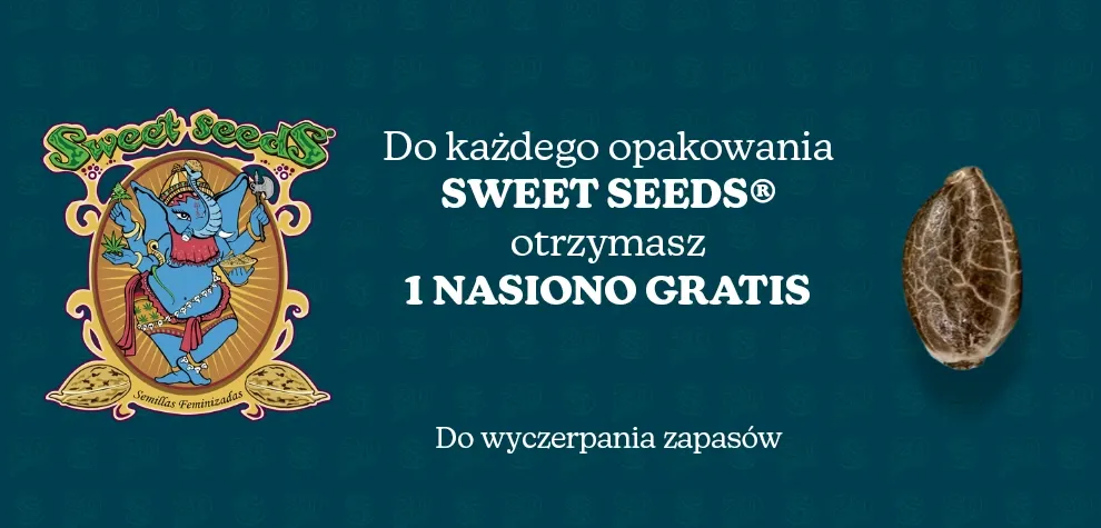 Darmowe nasiono Sweet Seeds