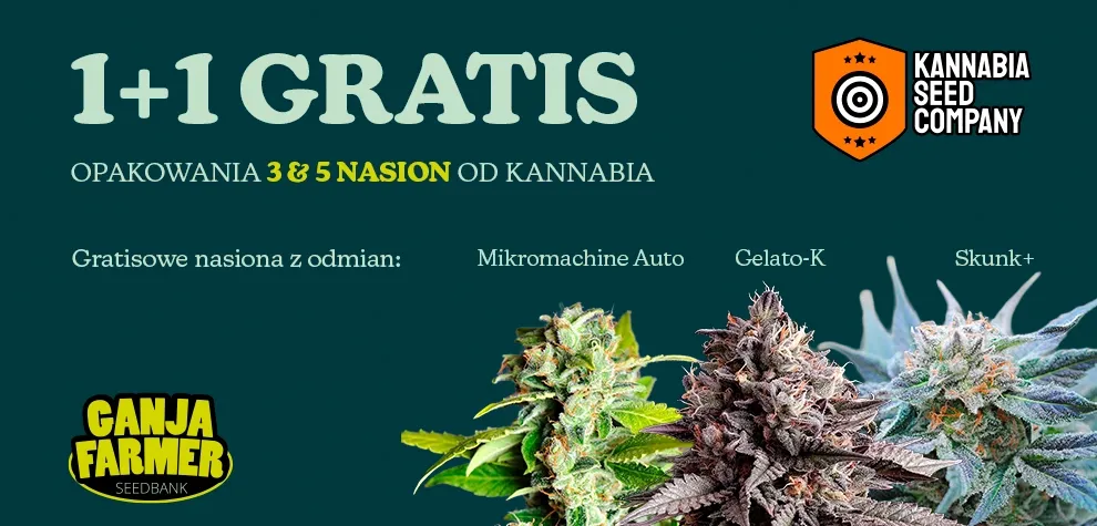 Kannabia 1+1