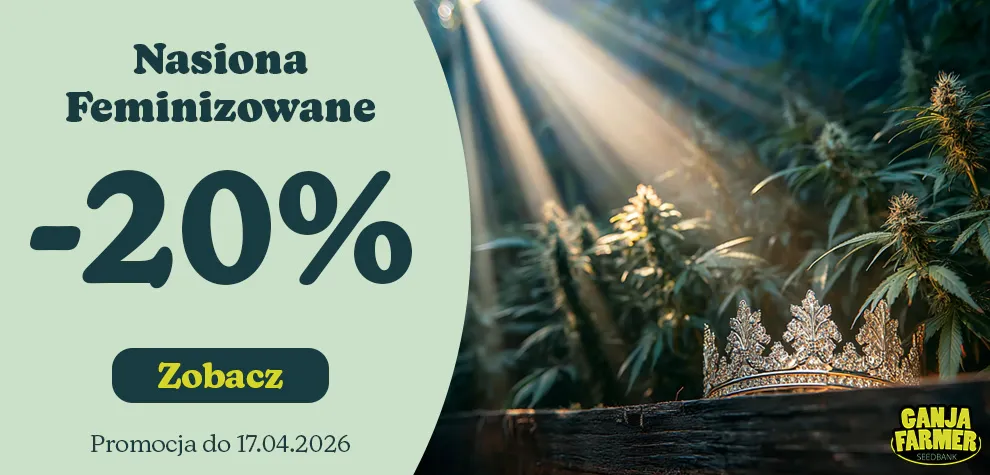 Nasiona Feminizowane -20%