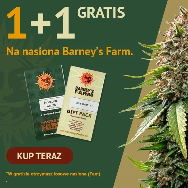 Barney's Farm 1+1