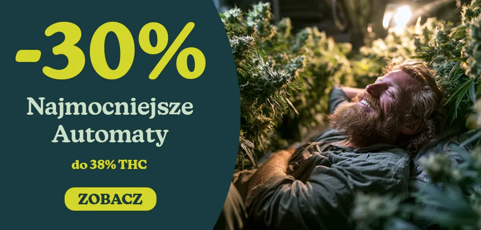Najmocniejsze automaty
