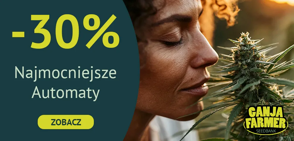 Najmocniejsze automaty