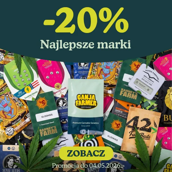 Najlepsze marki