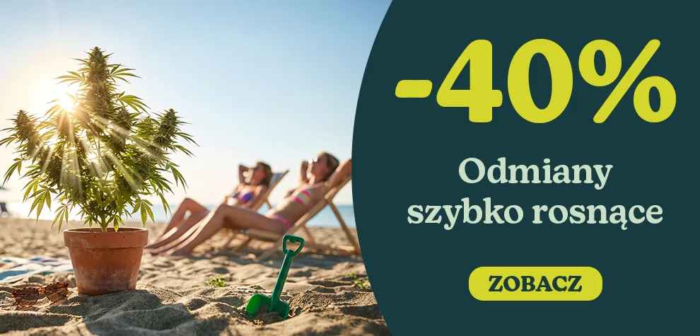 -40% Odmiany szybko rosnące