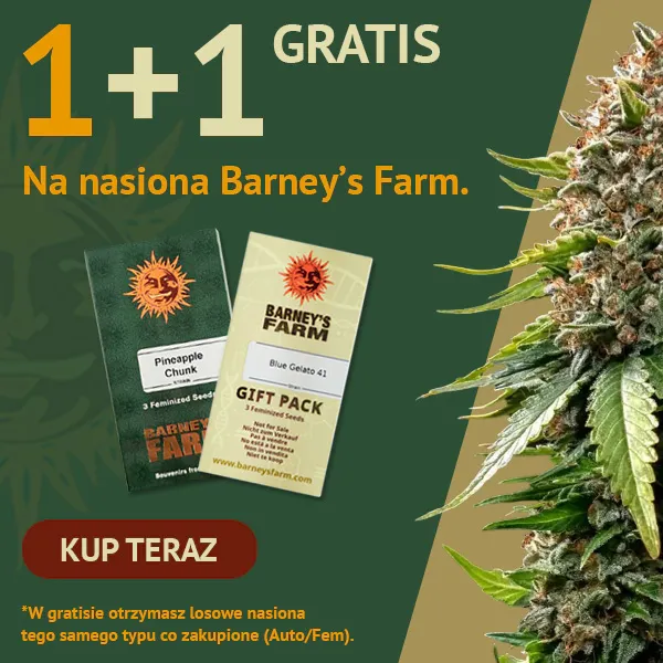 Barney's Farm 1+1