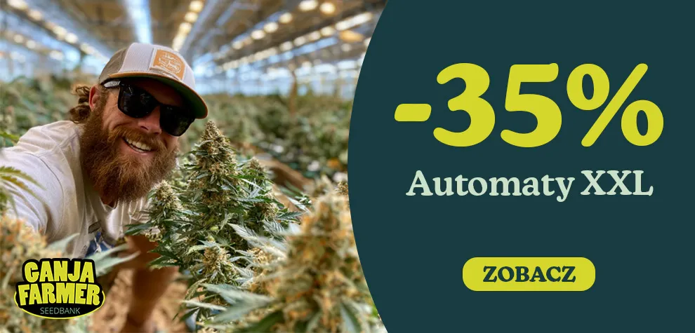 -35% Automaty XXL