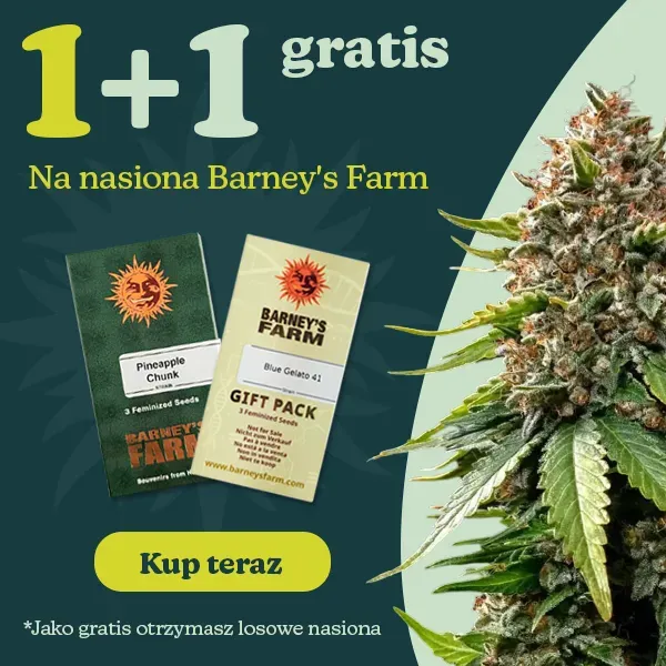 Barney's Farm 1+1