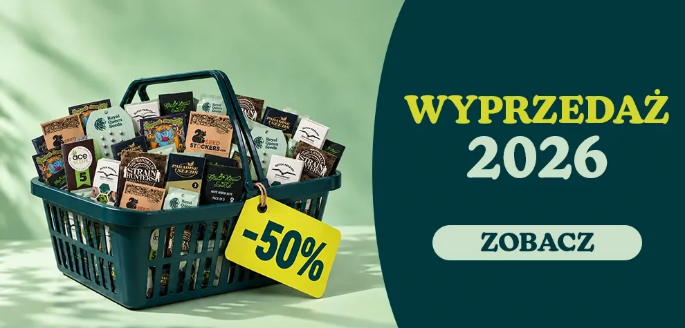 Wyprzedaż Nasion do -50%