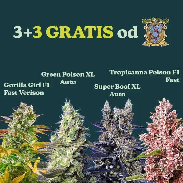 Sweet Seeds Promo