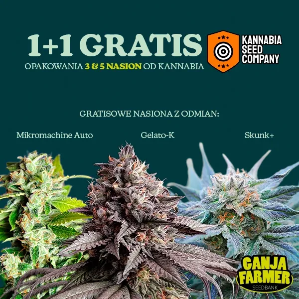 Kannabia 1+1