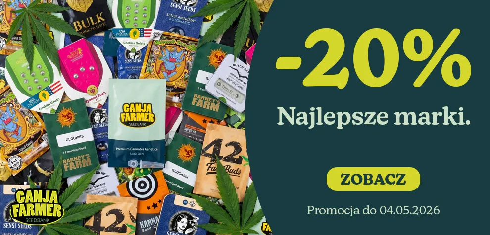 Najlepsze marki
