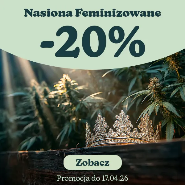 Nasiona Feminizowane -20%