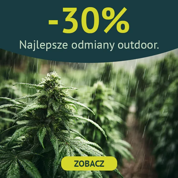 Najlepsze odmiany outdoor