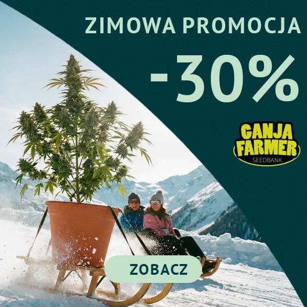 Promocja Zimowa do -30%
