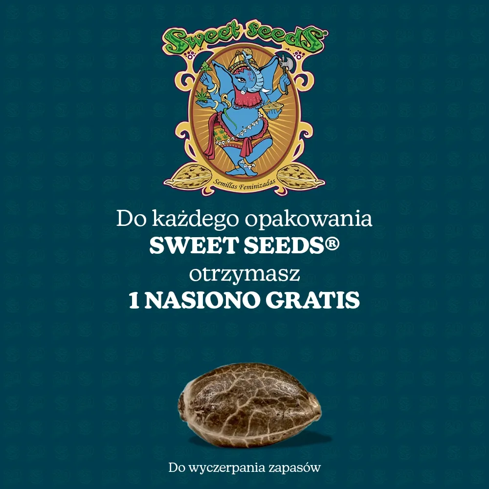 Darmowe nasiono Sweet Seeds