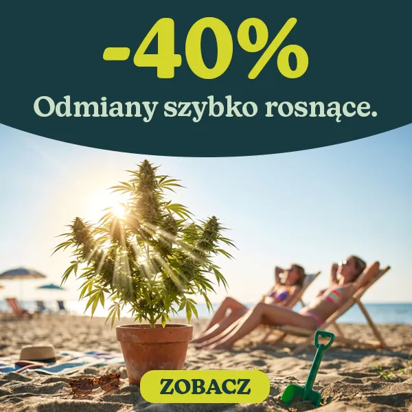 -40% Odmiany szybko rosnące