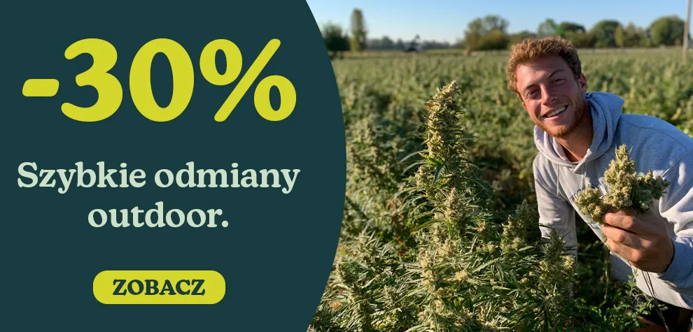 -30% Szybkie odmiany outdoor