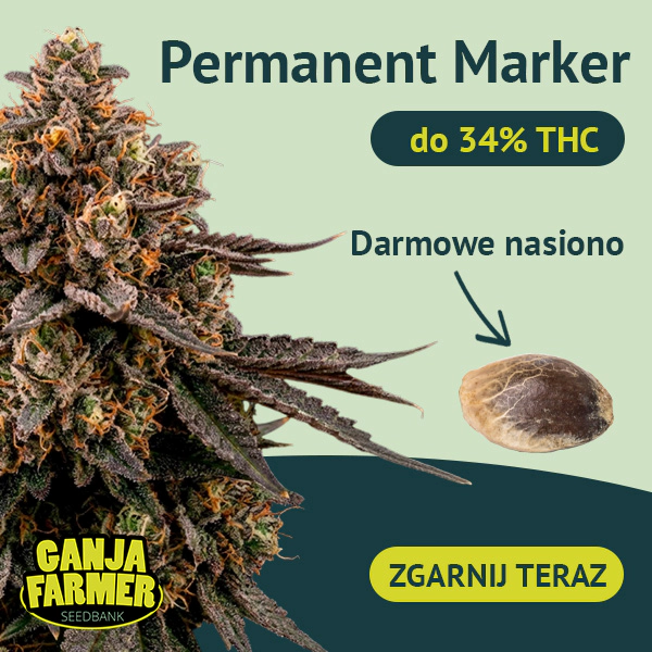 Dołącz do newslettera