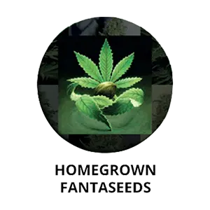 Homegrown Fantaseeds