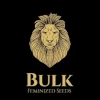 Bulk Feminized Seeds